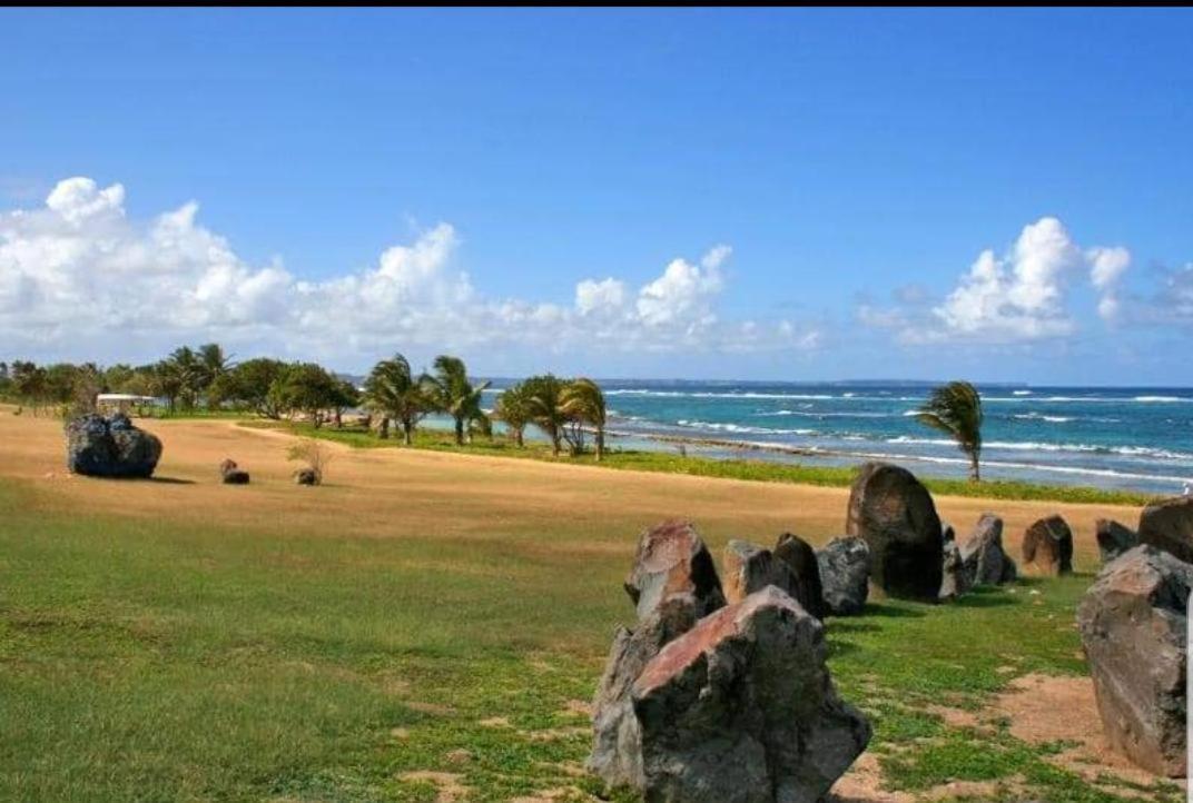 Studio Tropical Vue Mer Le Moule Exterior photo